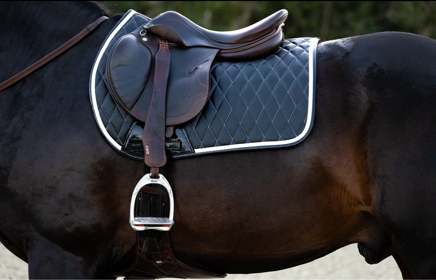 Black Saddle Pad
