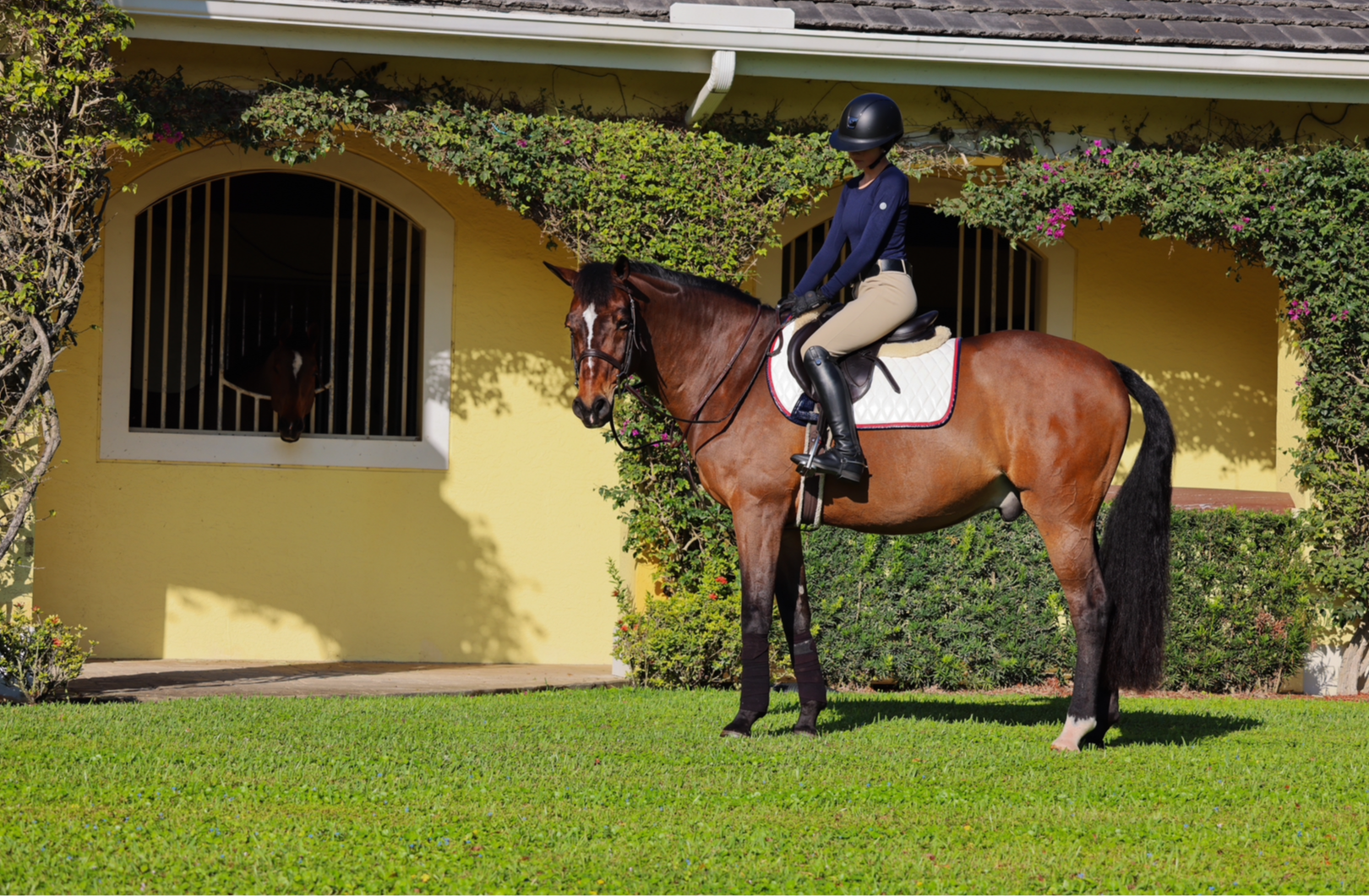 Saddle Pad | White