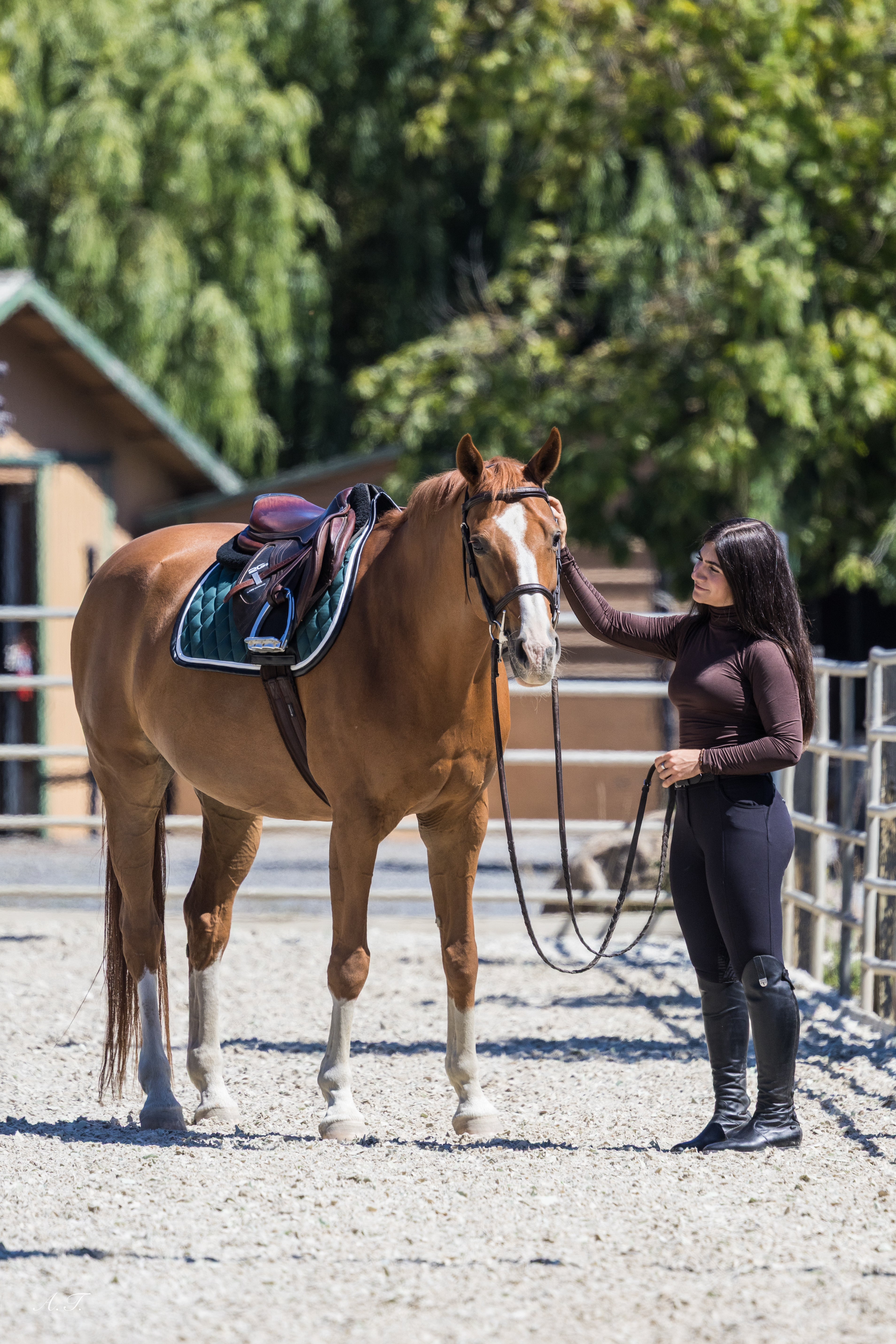 Jump Saddle Pad | Green- Black & White