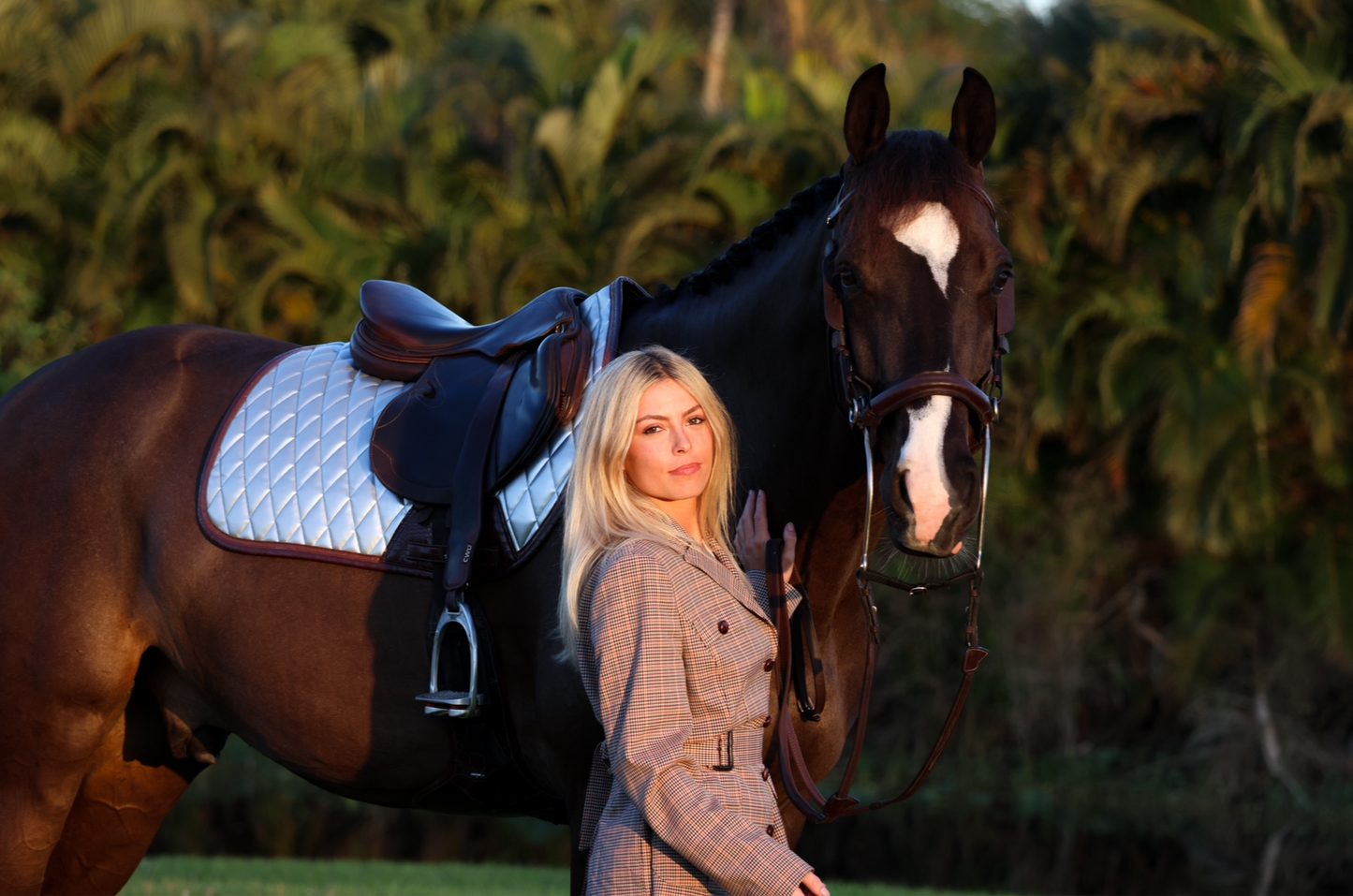 Chrome Saddle Pad