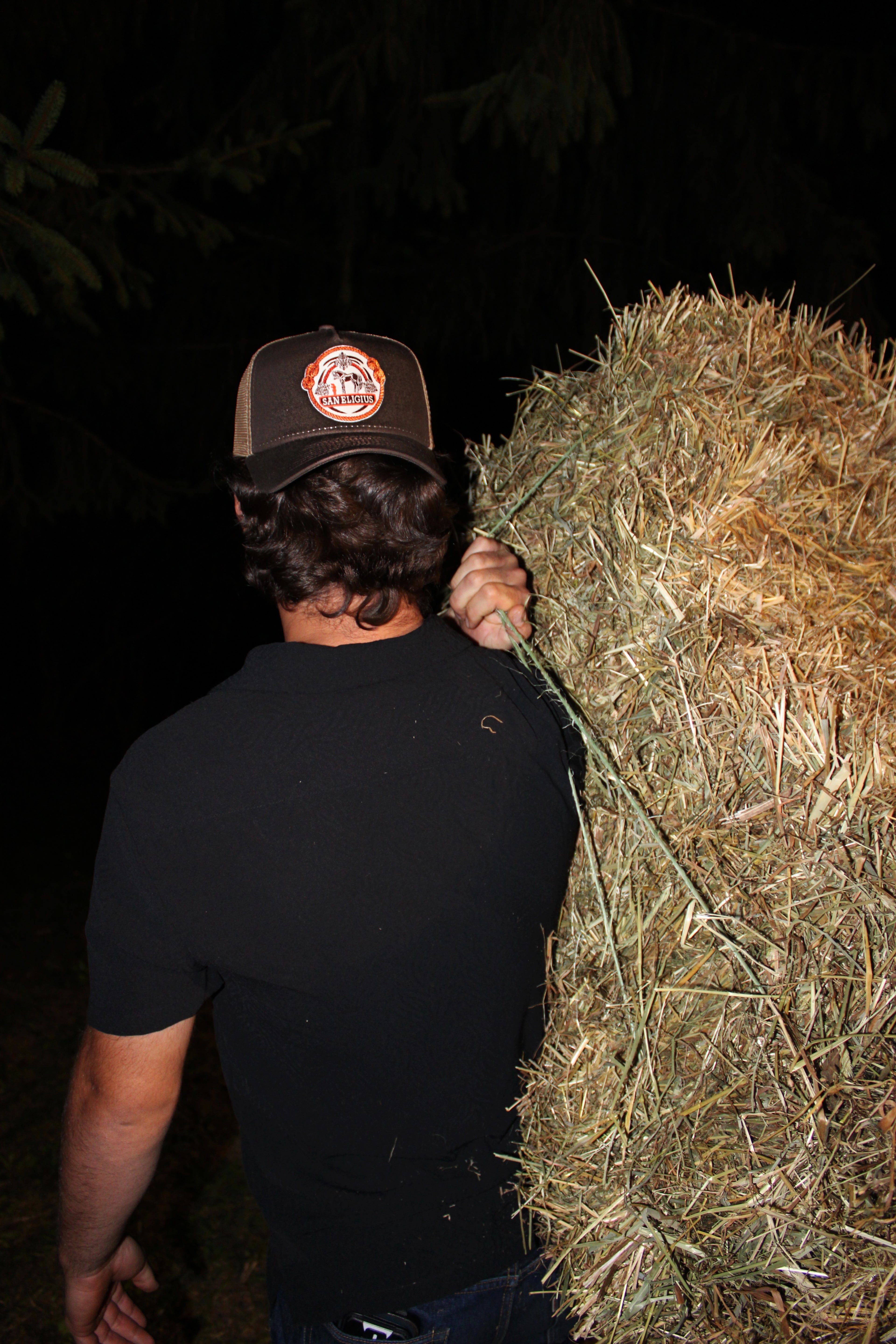 Signature Trucker | Brown