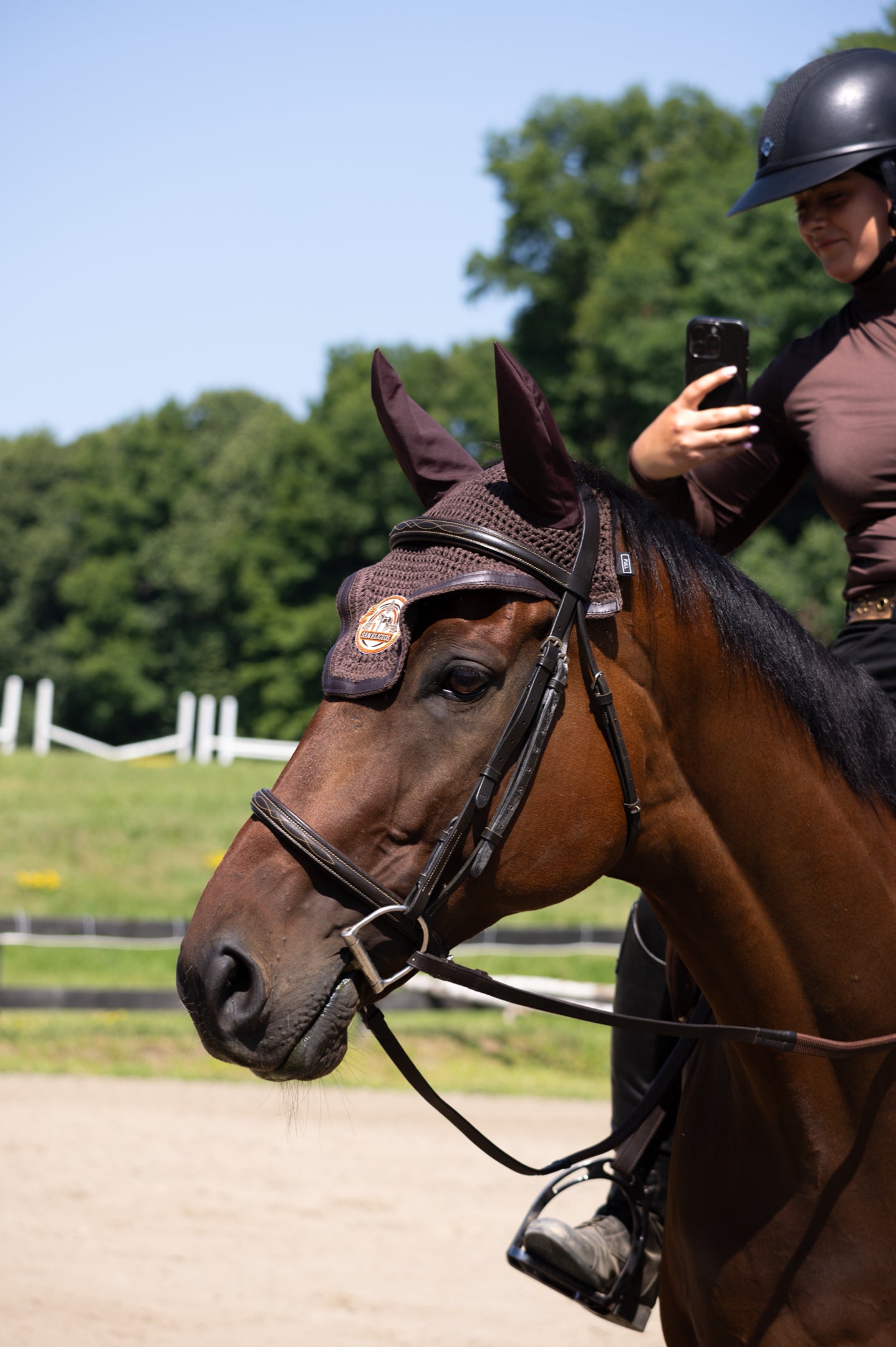 Horse Bonnet | Brown Monochrome