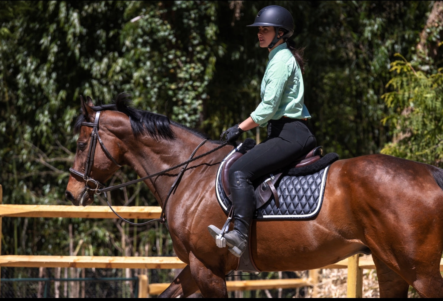 Saddle Pad