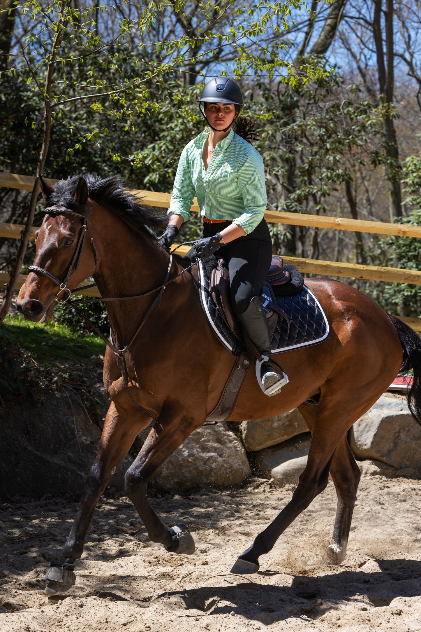 Saddle Pad