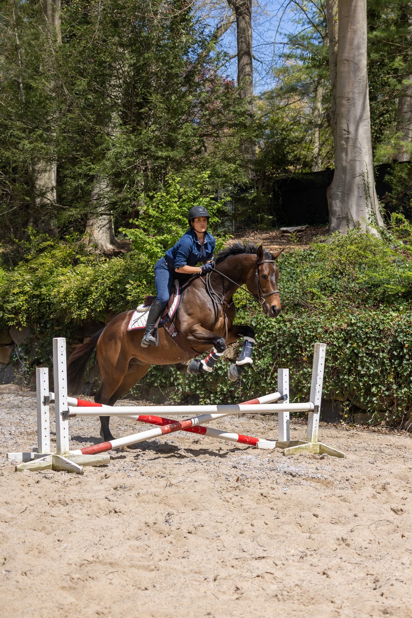 Saddle Pad