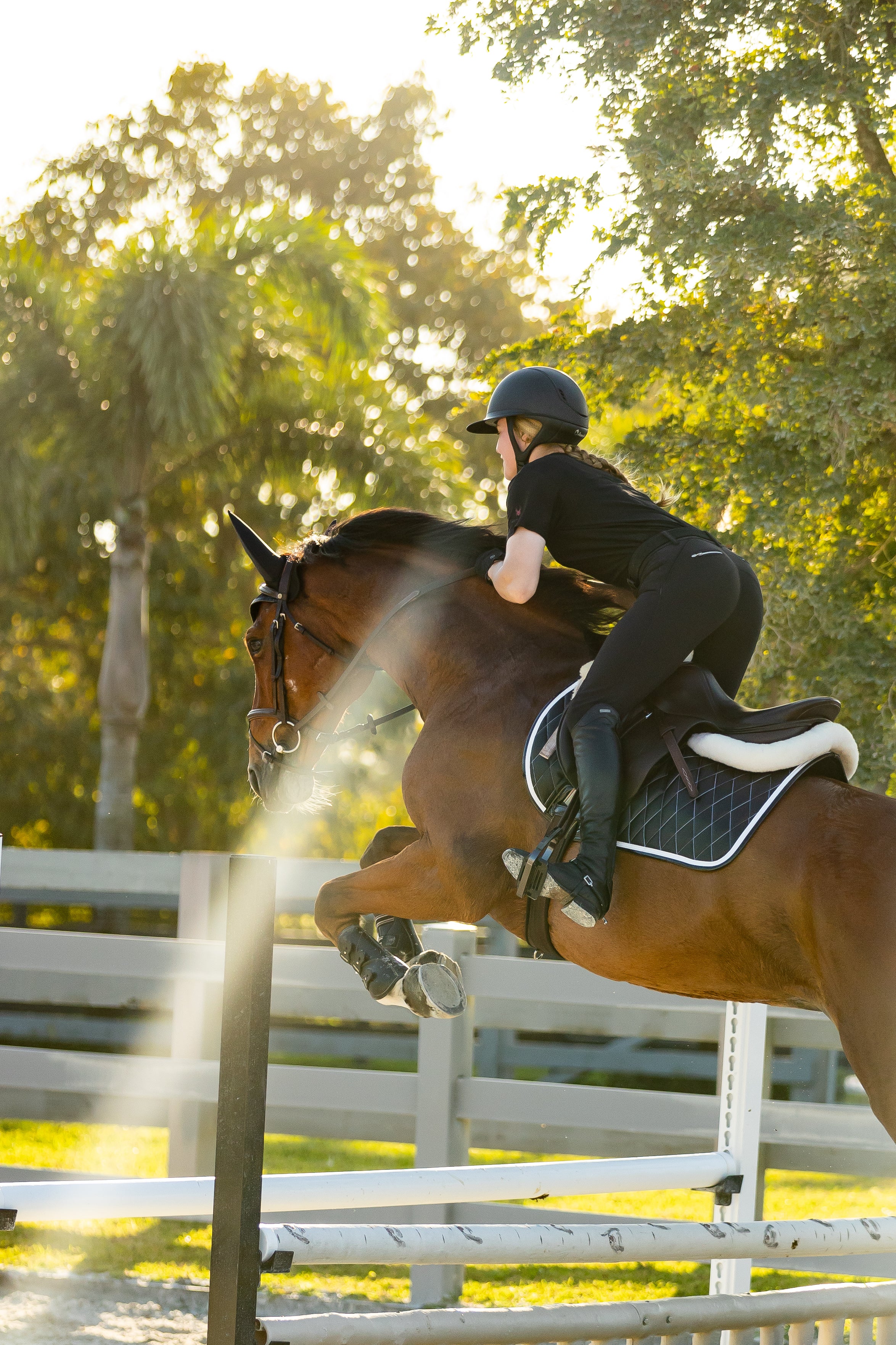 Saddle Pad | Black