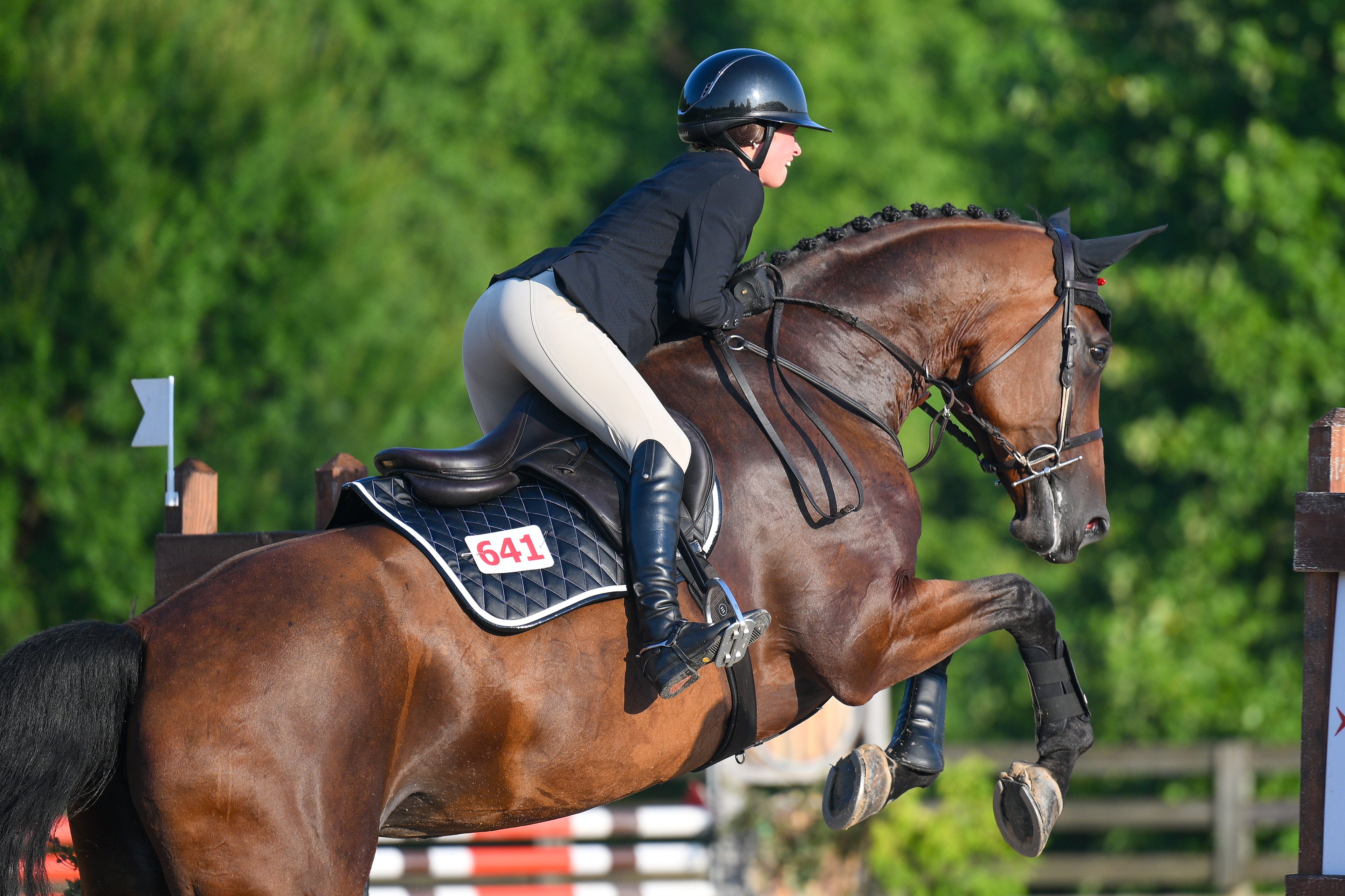 Saddle Pad | Black