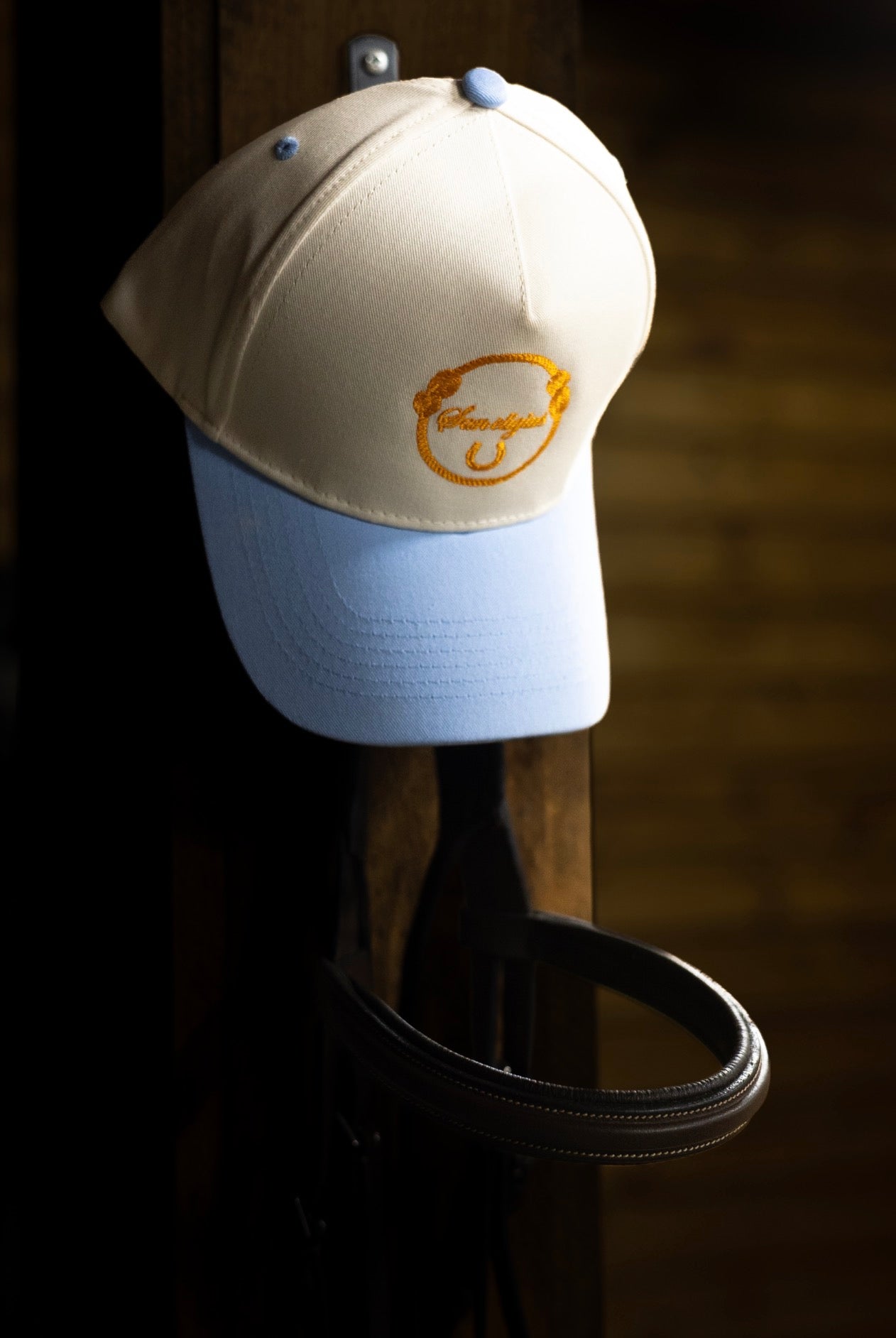 Trucker | Baby Blue