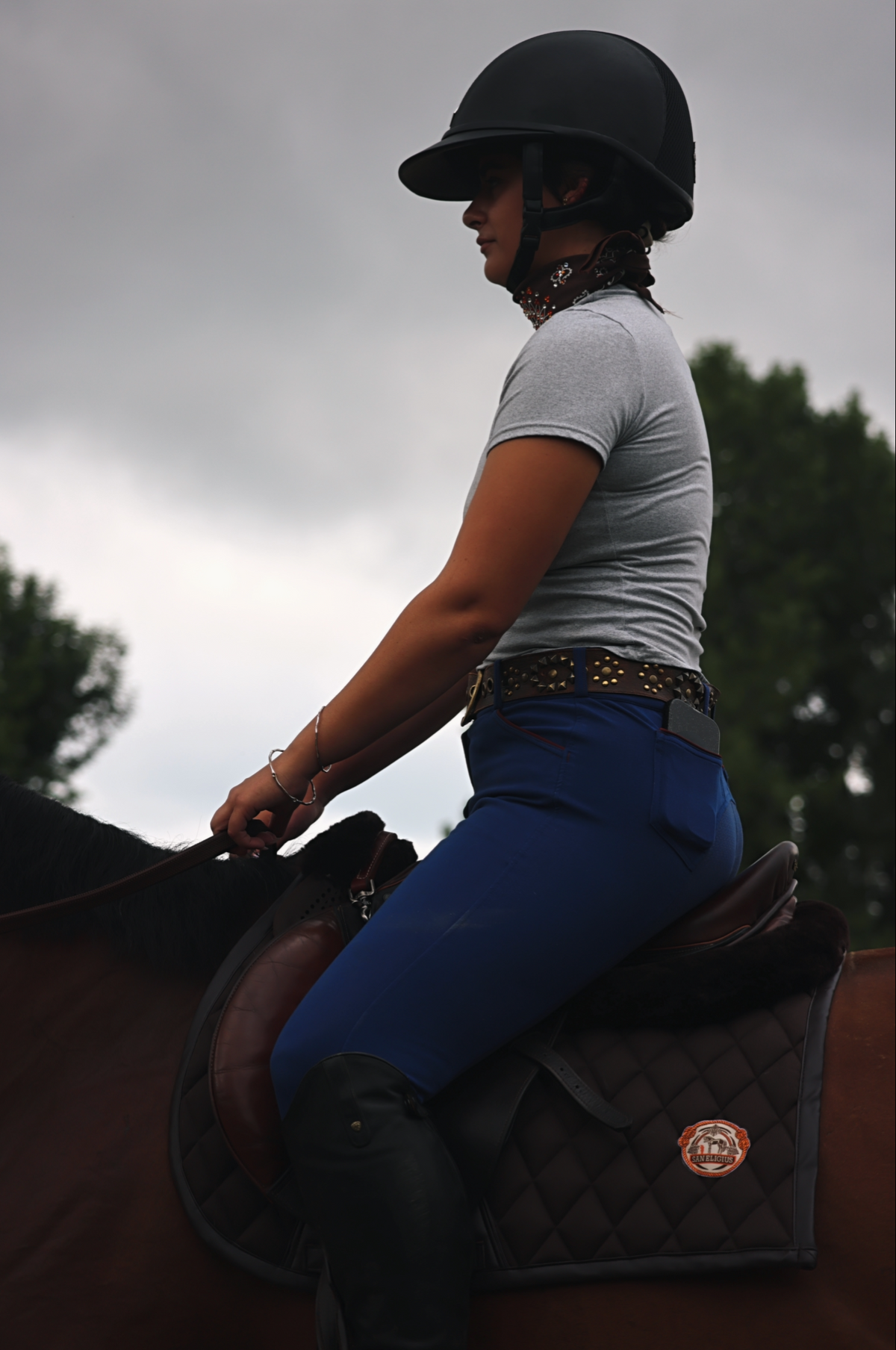 Jump Saddle Pad | Brown Monochrome