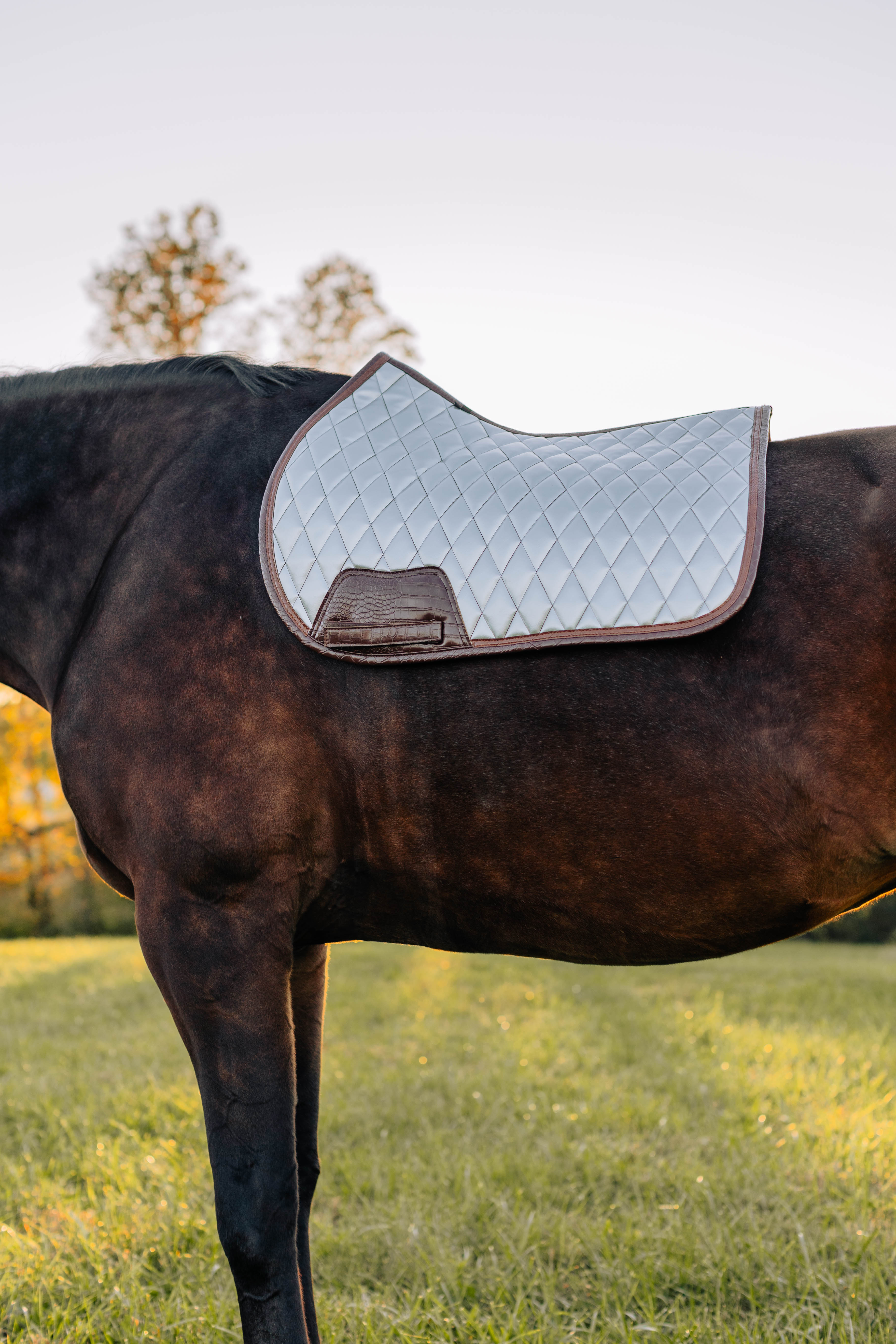 Jump Saddle Pad | Chrome