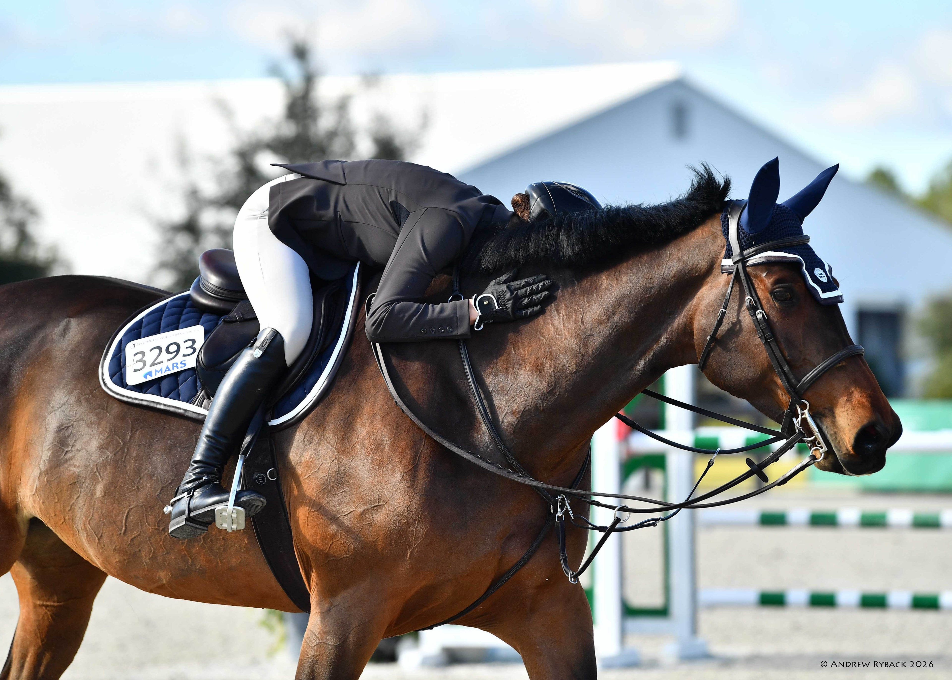 Horse Bonnet | Navy- Brown & White
